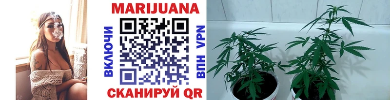 Купить закладку АМФЕТАМИН  Меф мяу мяу  Гашиш  Канабис  COCAIN  Альфа ПВП  Кострома
