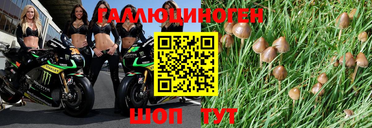 Галлюциногенные грибы Psilocybe  Вход с VPN  наркотики  Галлюциногенные грибы ЛСД  Кострома 
