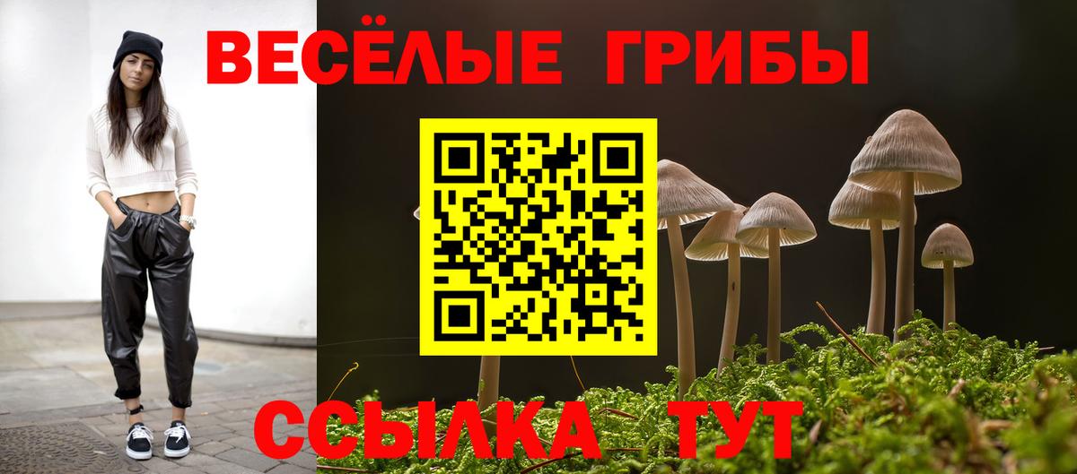 купить закладку  Кострома  Галлюциногенные грибы Cubensis 