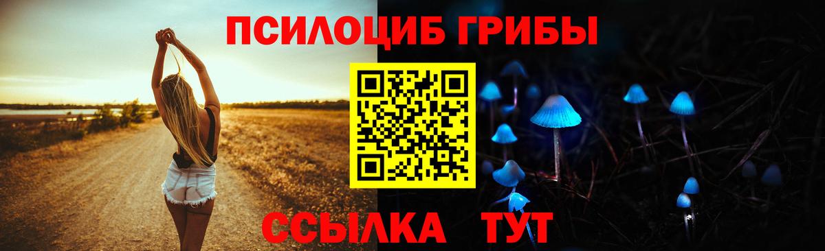 Галлюциногенные грибы GOLDEN TEACHER Кострома